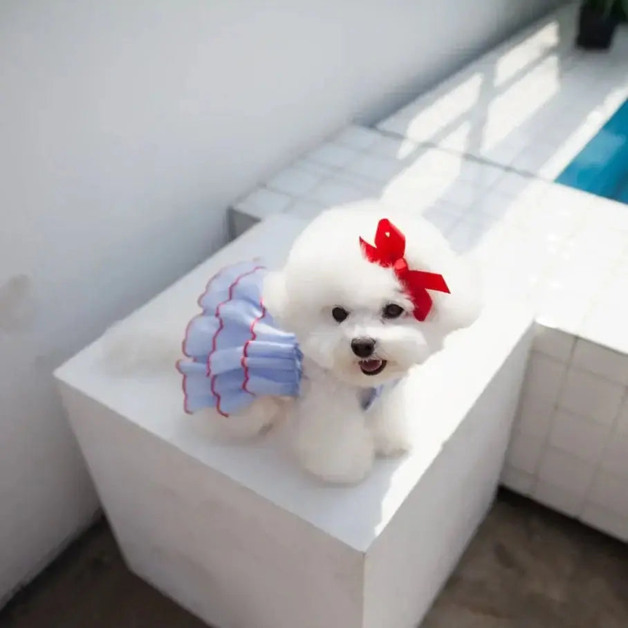 Summer Dress Dog And Cat - Premium from HappyDogs.Company - Just $17.99! Shop now at HappyDogs.Company