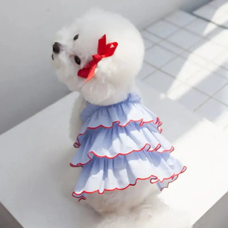 Summer Dress Dog And Cat - Premium from HappyDogs.Company - Just $17.99! Shop now at HappyDogs.Company