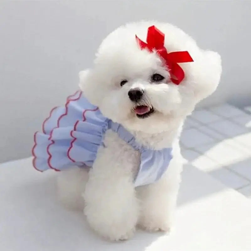 Summer Dress Dog And Cat - Premium from HappyDogs.Company - Just $17.99! Shop now at HappyDogs.Company
