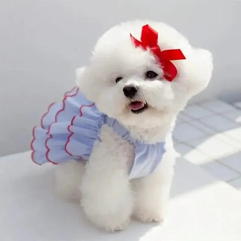Summer Dress Dog And Cat - Premium from HappyDogs.Company - Just $17.99! Shop now at HappyDogs.Company