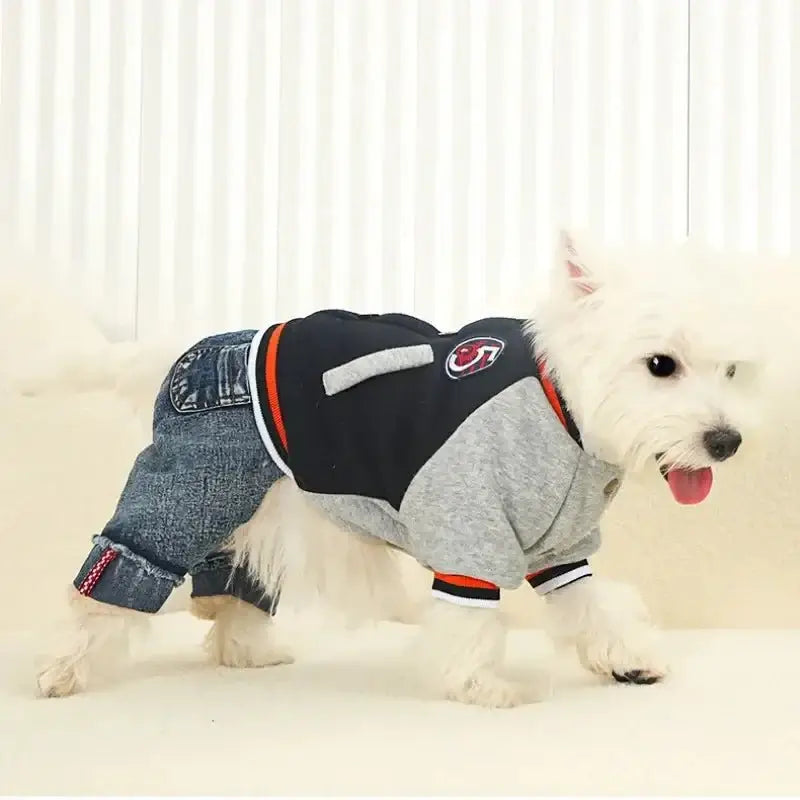Winter Dog Jumpsuit - Premium from HappyDogs.Company - Just $56.99! Shop now at HappyDogs.Company