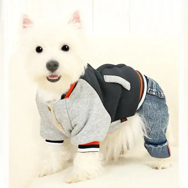 Winter Dog Jumpsuit - Premium from HappyDogs.Company - Just $56.99! Shop now at HappyDogs.Company