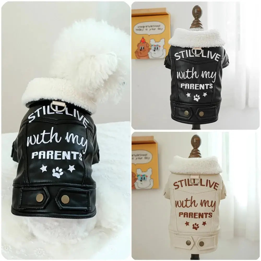 Winter PU Leather Dog Jacket Letters - Premium from HappyDogs.Company - Just $50.99! Shop now at HappyDogs.Company