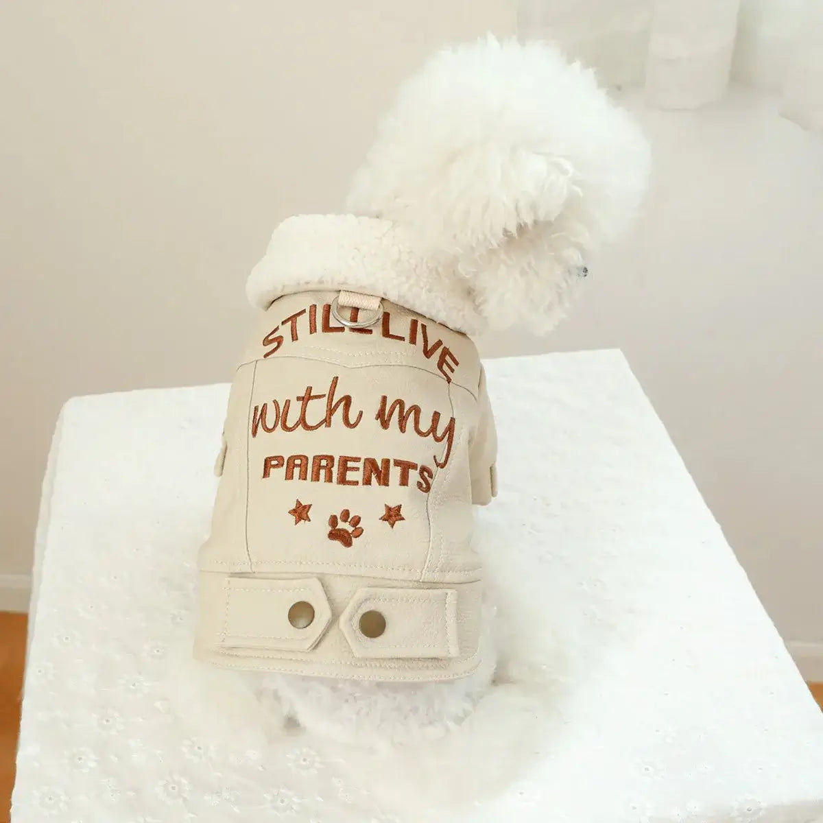 Winter PU Leather Dog Jacket Letters - Premium from HappyDogs.Company - Just $50.99! Shop now at HappyDogs.Company