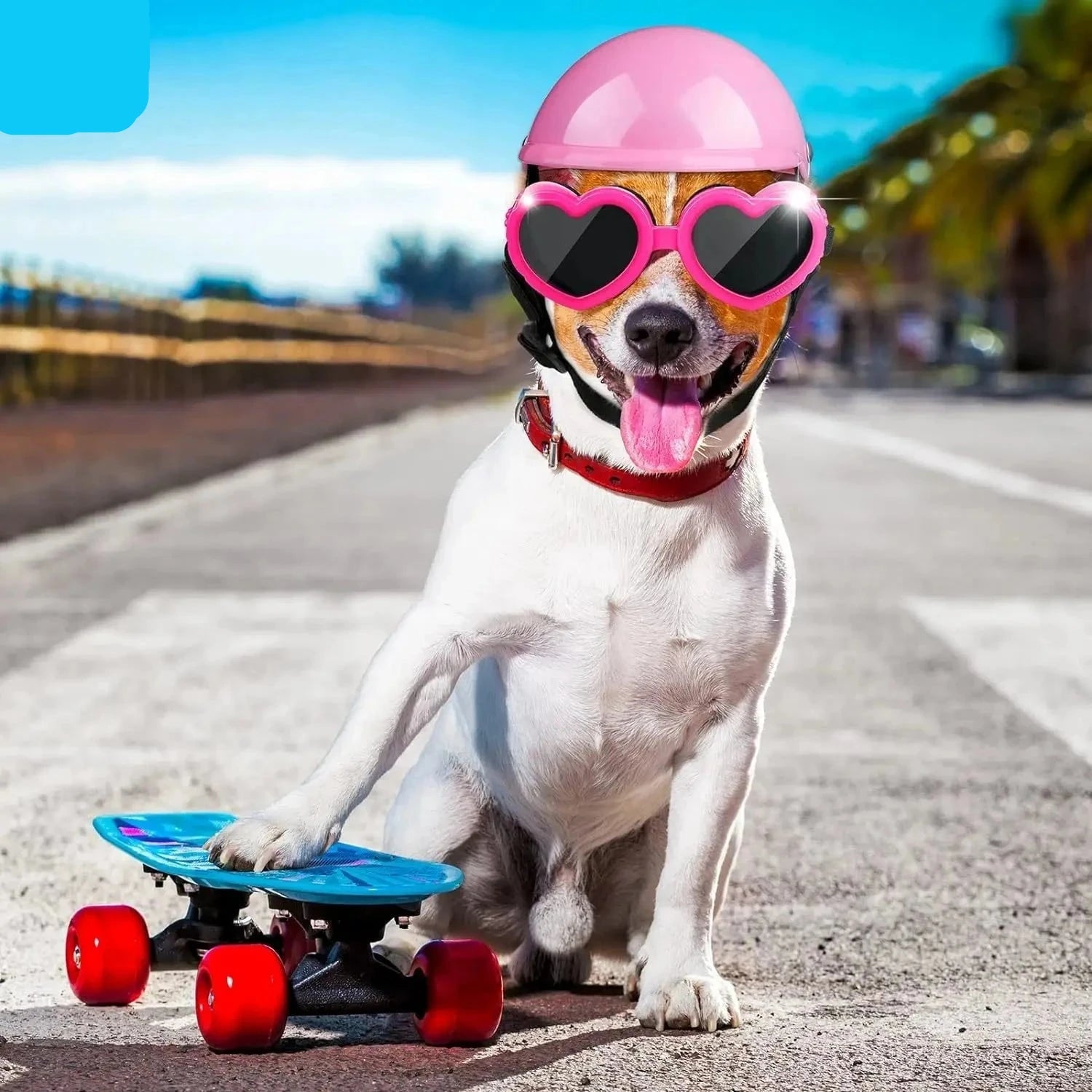 2 Pieces Small Dog Helmet and Goggles - HappyDogs.Company