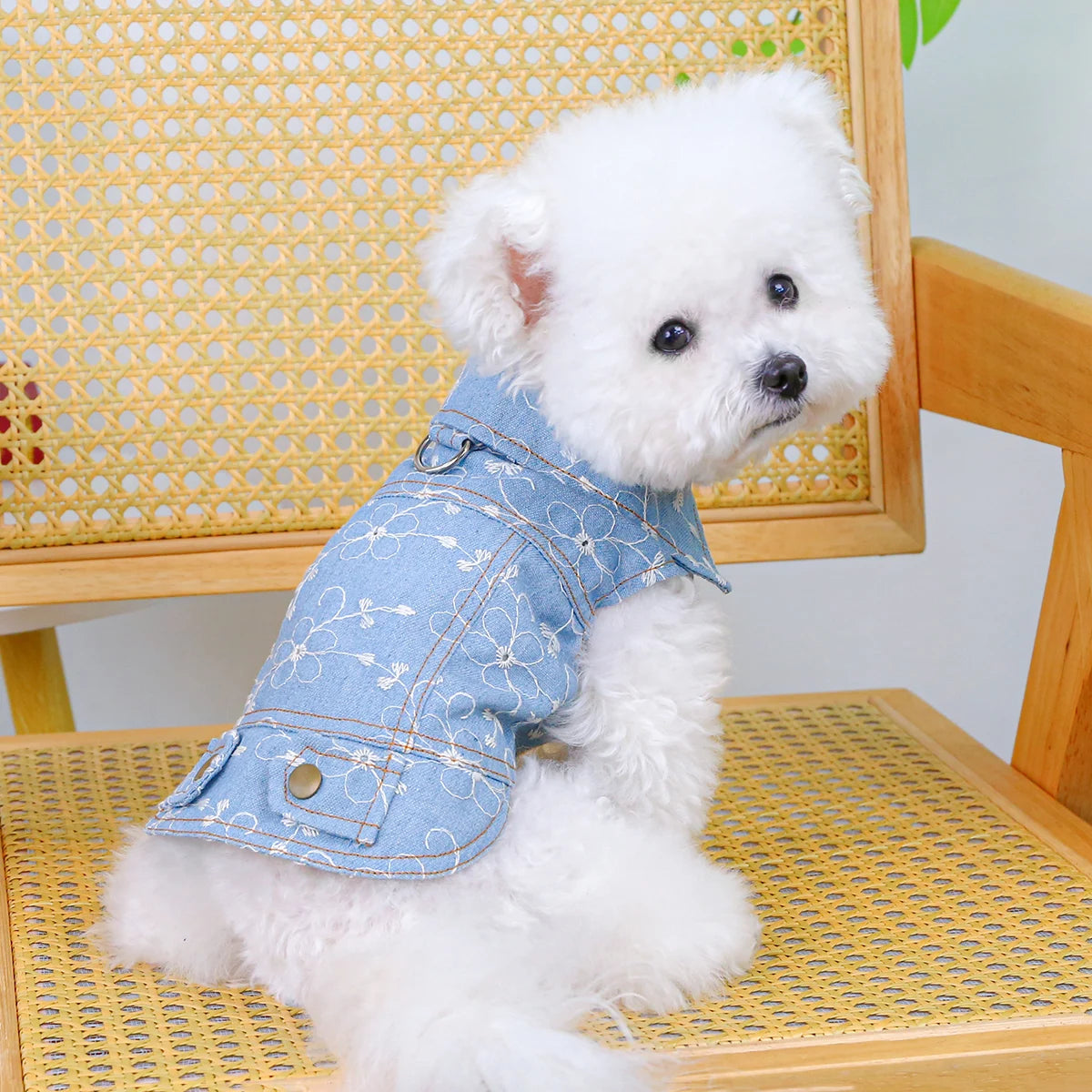 Summer Sleeveless Blue Vest - Premium  from HappyDogs.Company - Just $24.99! Shop now at HappyDogs.Company