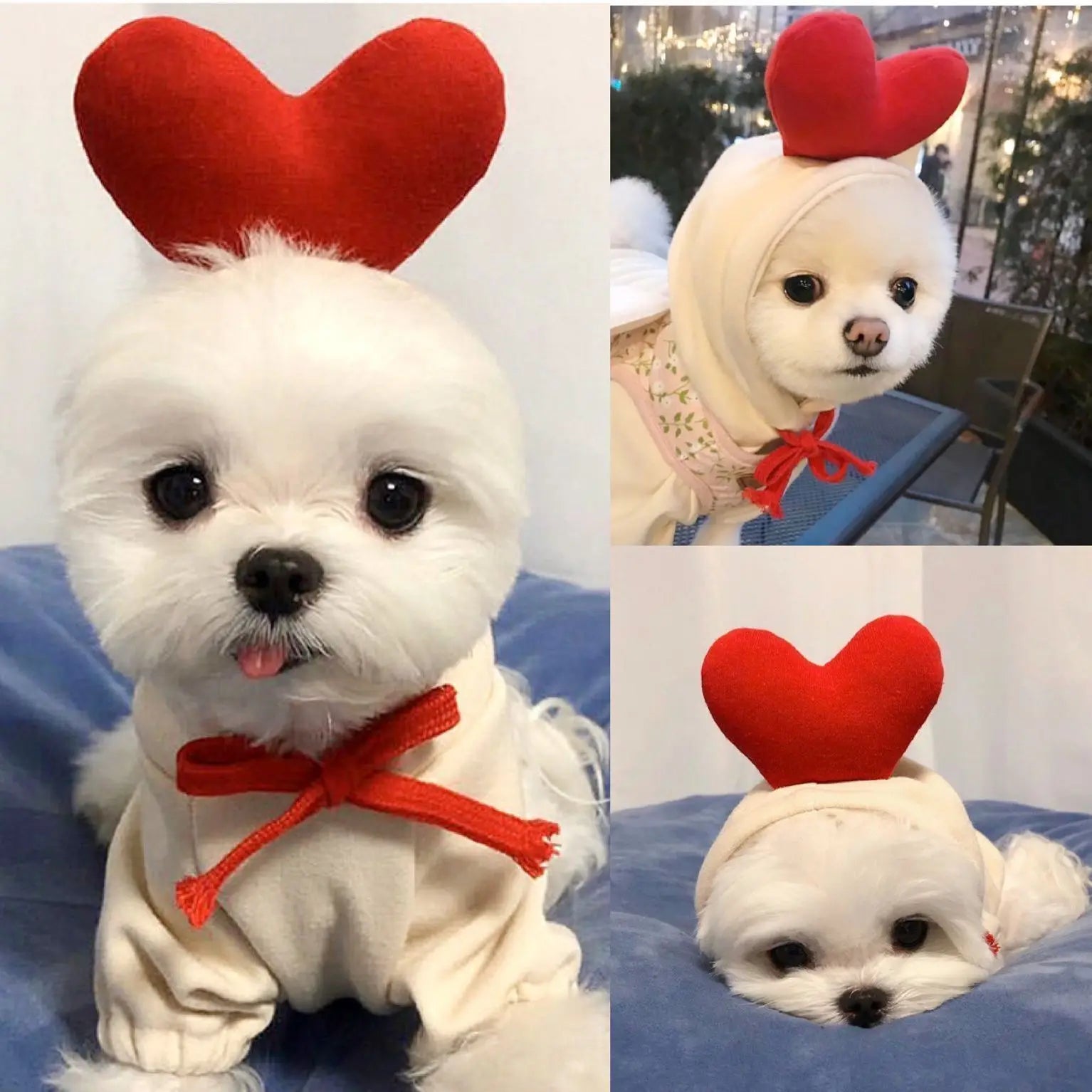 Cute Hoodie Elk Teddy Bear Design - Premium  from HappyDogs.Company - Just $35! Shop now at HappyDogs.Company