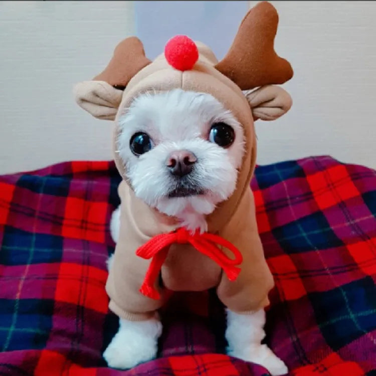 Cute Hoodie Elk Teddy Bear Design - Premium  from HappyDogs.Company - Just $35! Shop now at HappyDogs.Company
