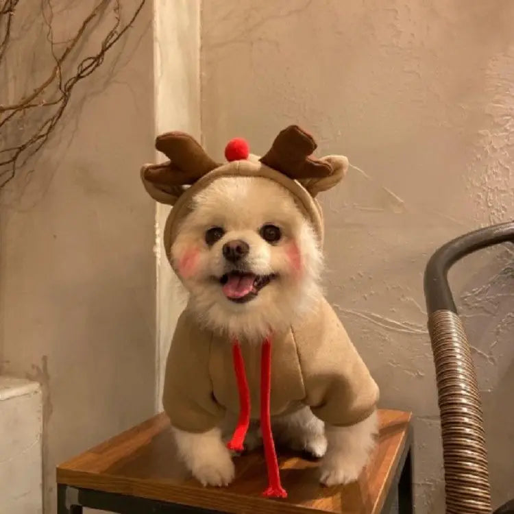Cute Hoodie Elk Teddy Bear Design - Premium  from HappyDogs.Company - Just $35! Shop now at HappyDogs.Company