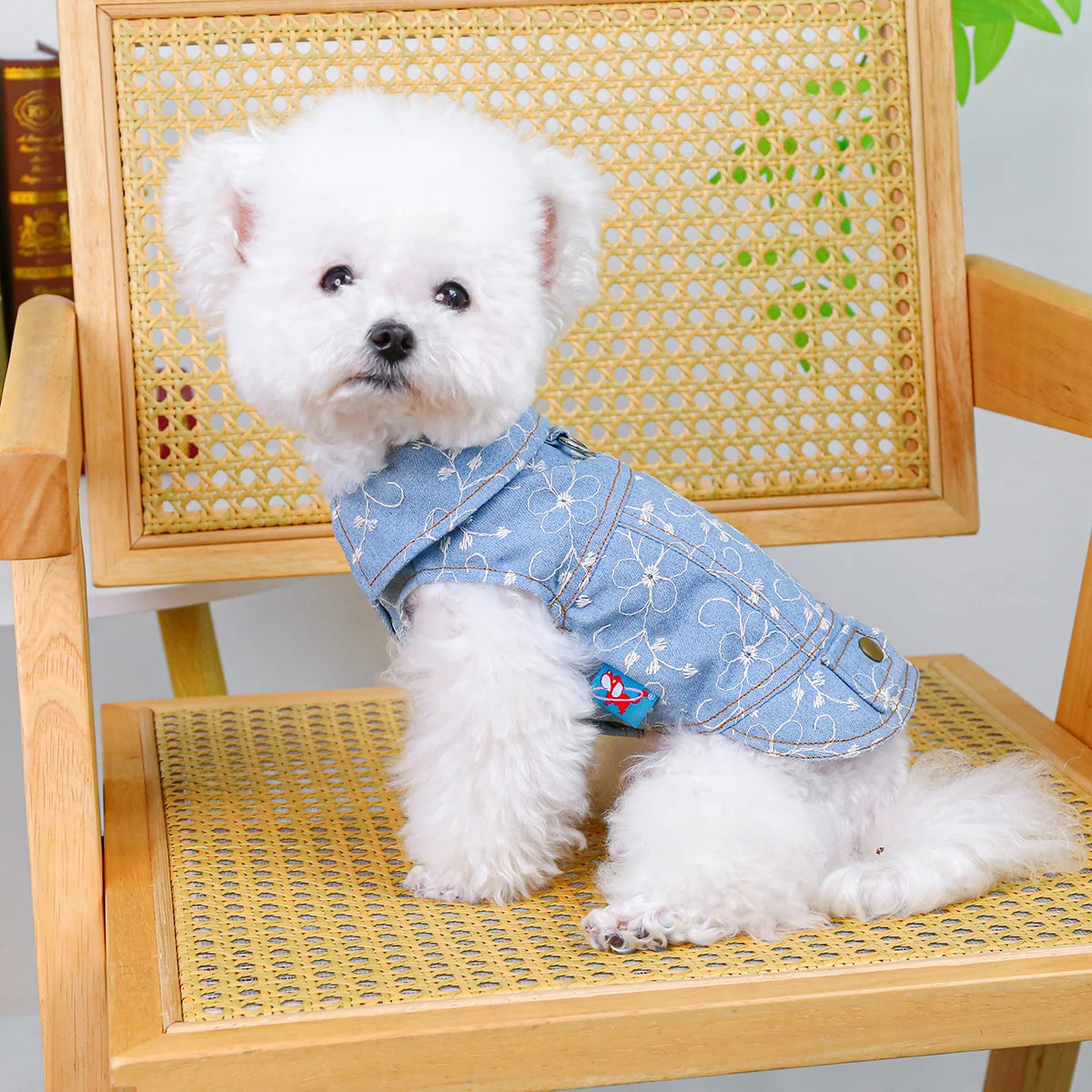 Summer Sleeveless Blue Vest - Premium  from HappyDogs.Company - Just $24.99! Shop now at HappyDogs.Company