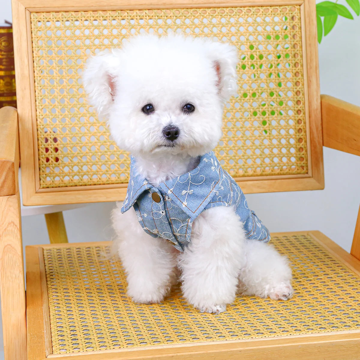 Summer Sleeveless Blue Vest - Premium  from HappyDogs.Company - Just $24.99! Shop now at HappyDogs.Company