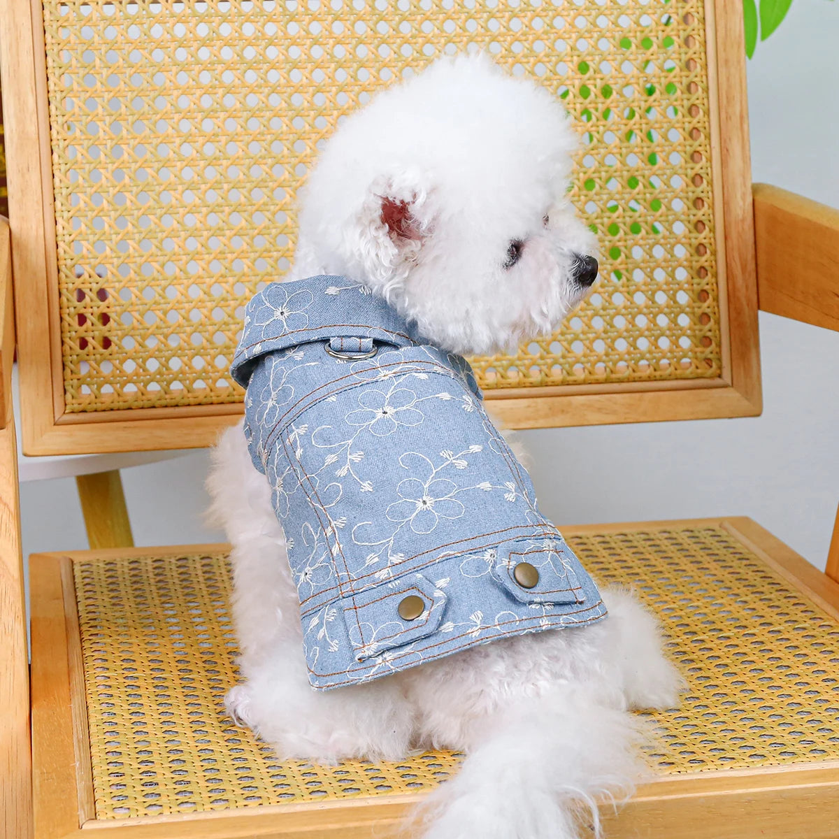 Summer Sleeveless Blue Vest - Premium  from HappyDogs.Company - Just $24.99! Shop now at HappyDogs.Company