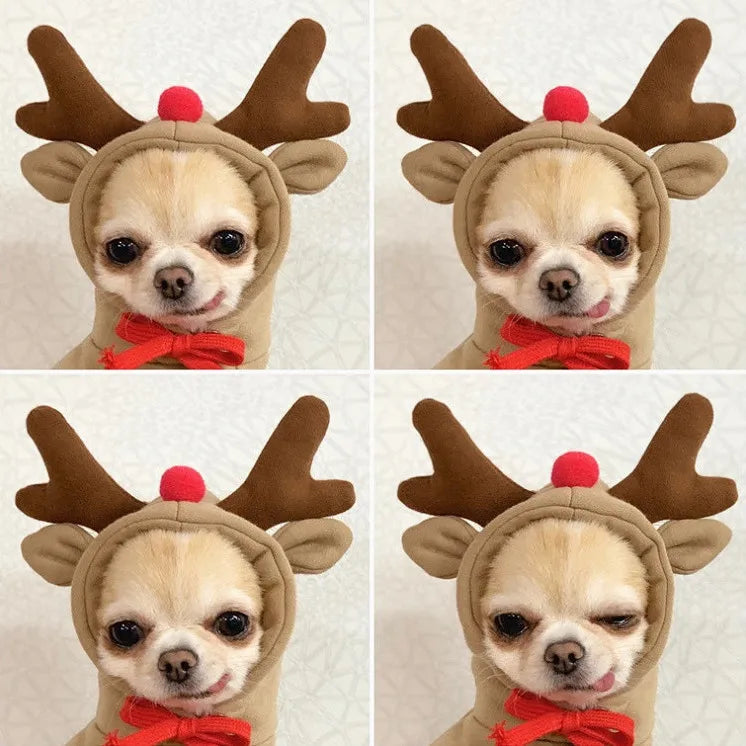 Cute Hoodie Elk Teddy Bear Design - Premium  from HappyDogs.Company - Just $35! Shop now at HappyDogs.Company