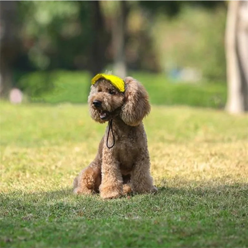 Summer Solid Color Dog Baseball Visor Hat - Premium  from HappyDogs.Company - Just $22.99! Shop now at HappyDogs.Company