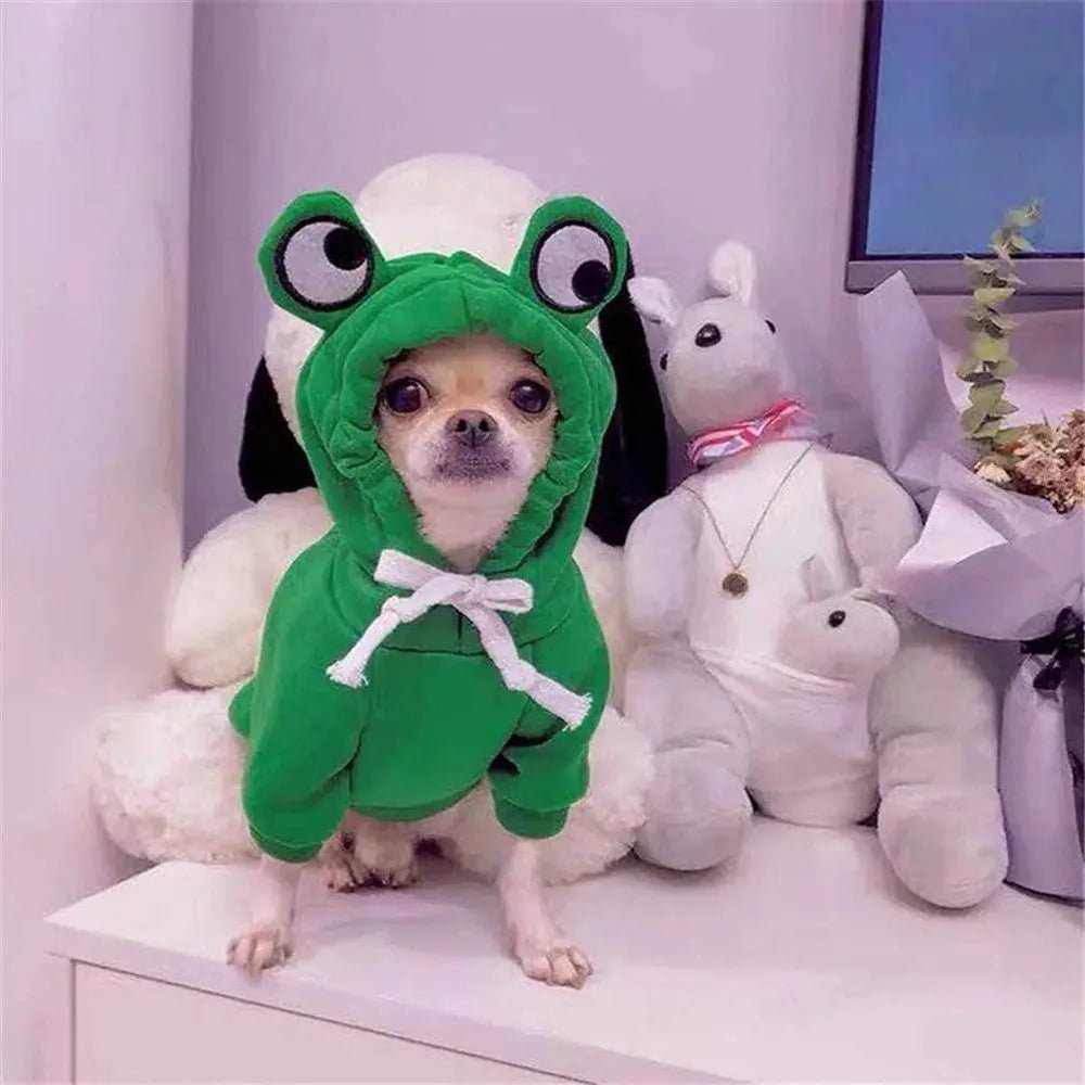 Cute Cartoon Frog Design Pet Cotton Hoodie - HappyDogs.Company