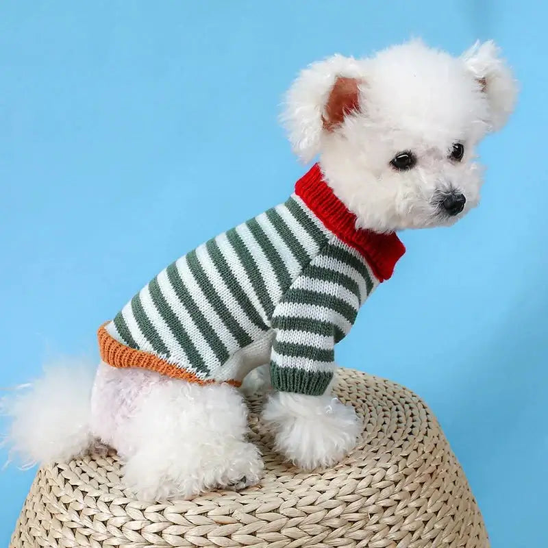 Vintage Striped Sweater For Smal And Medium Dogs - Premium  from HappyDogs.Company - Just $17.99! Shop now at HappyDogs.Company