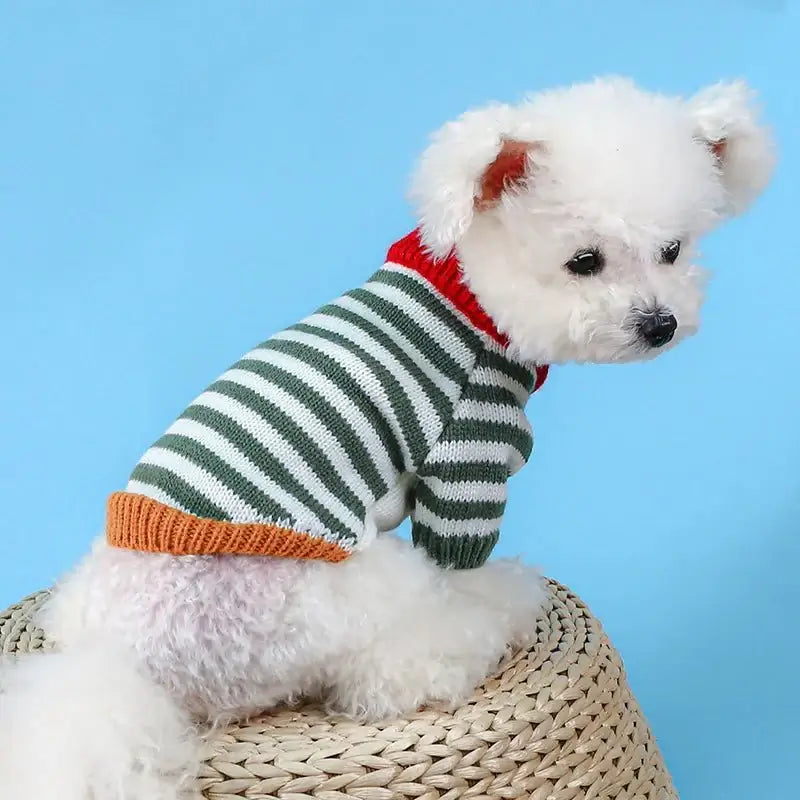 Vintage Striped Sweater For Smal And Medium Dogs - Premium  from HappyDogs.Company - Just $17.99! Shop now at HappyDogs.Company